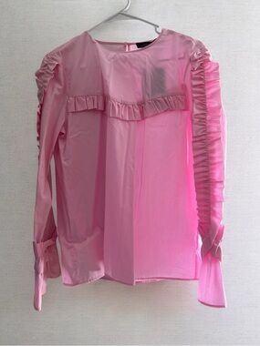 Zara Pink Ruffle-Trim Long Sleeve Blouse